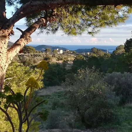 Casa Natura بيت خشبي *