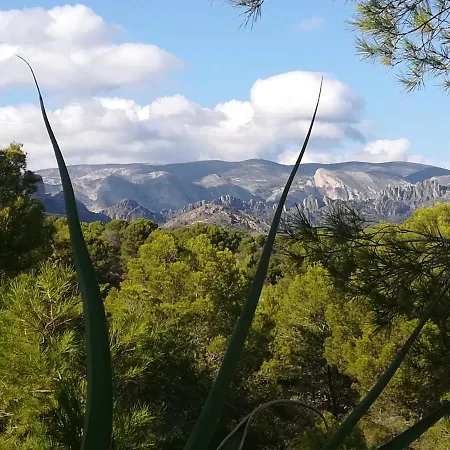 Casa Natura بيت خشبي *